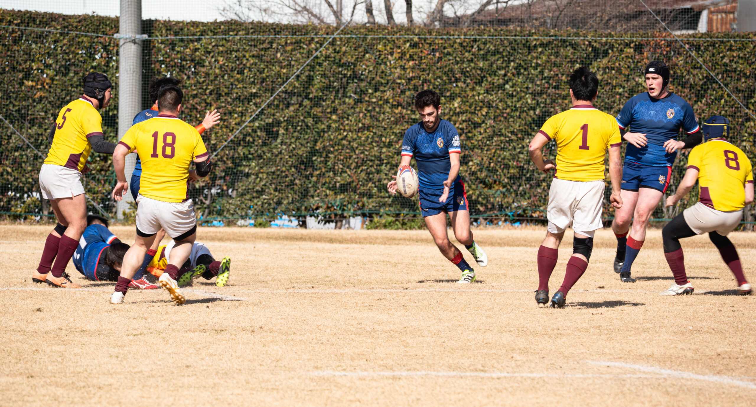 AFRC rugby champagne action on the pitch